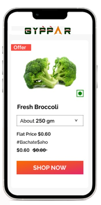 mob app removebg preview